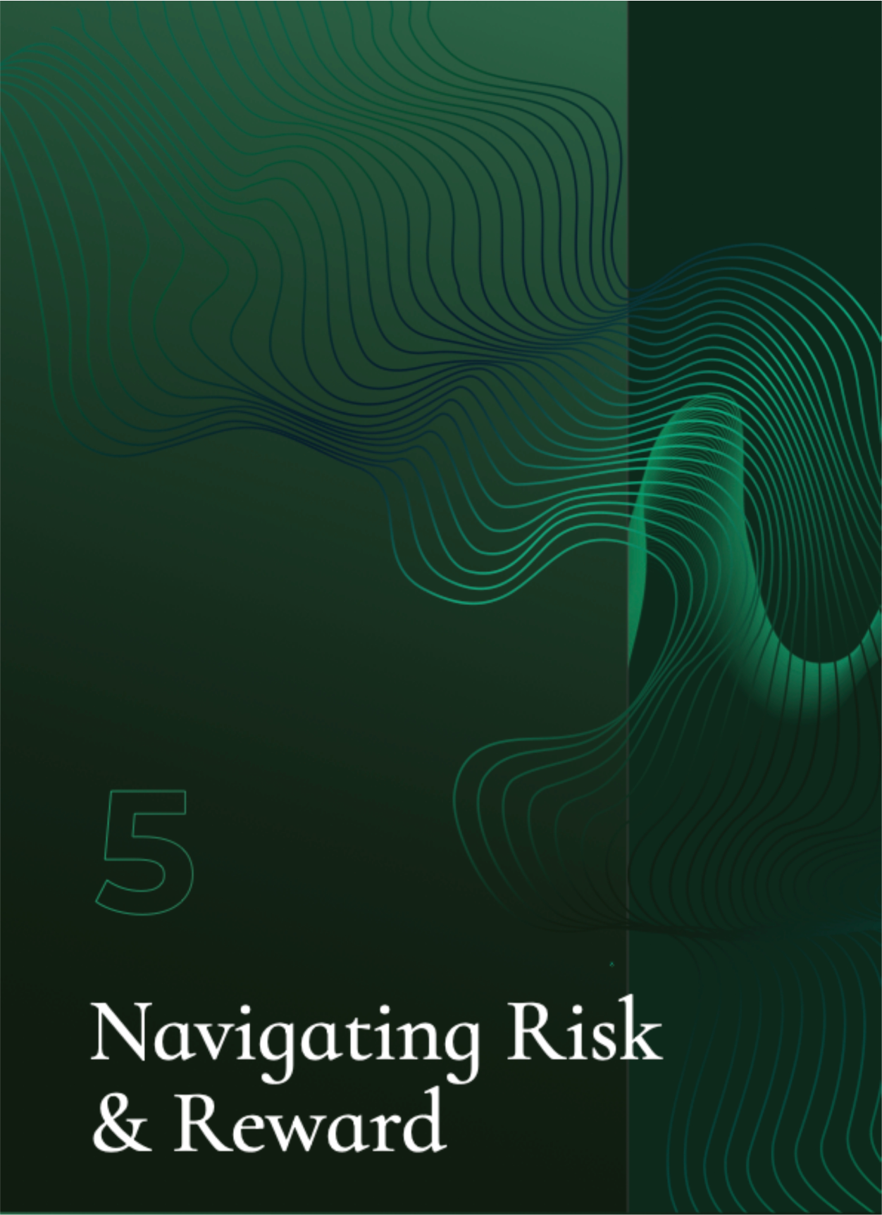 Navigating-the-Risks-Rewards-cover